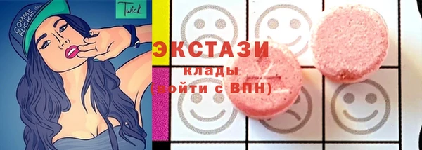 гашик Алексин