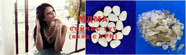 гашик Алексин