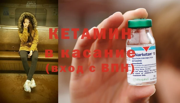 гашик Алексин
