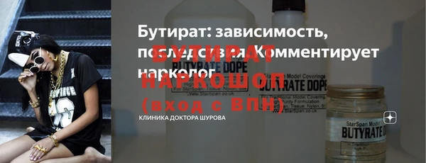 гашик Алексин