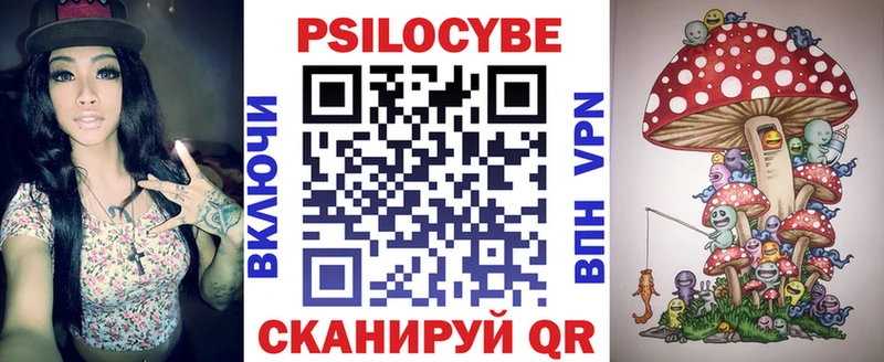 Купить закладки  Тайшет  Галлюциногенные грибы Psilocybine cubensis 